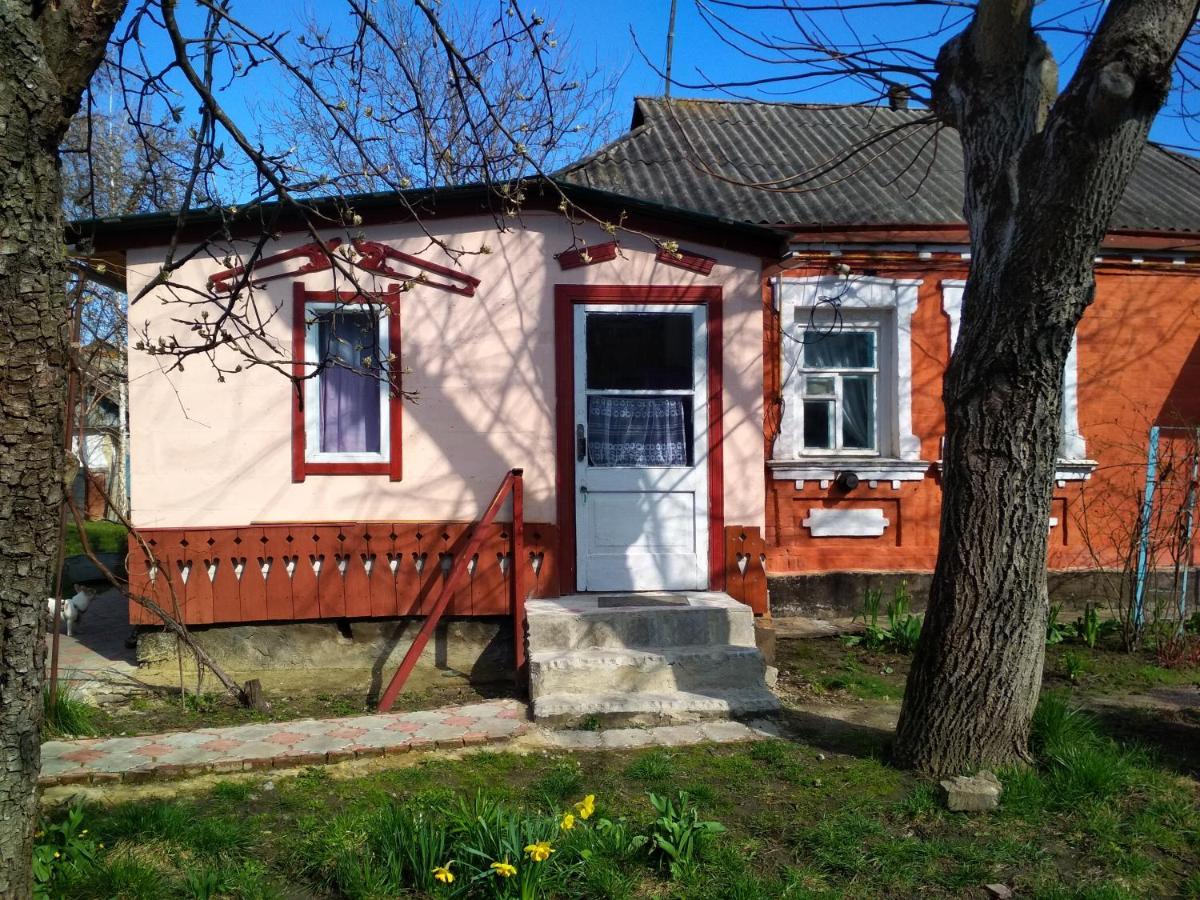 Villa Діво Bohuslav Exterior foto